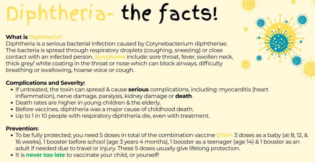 Diphtheriathefacts2e1769431828348