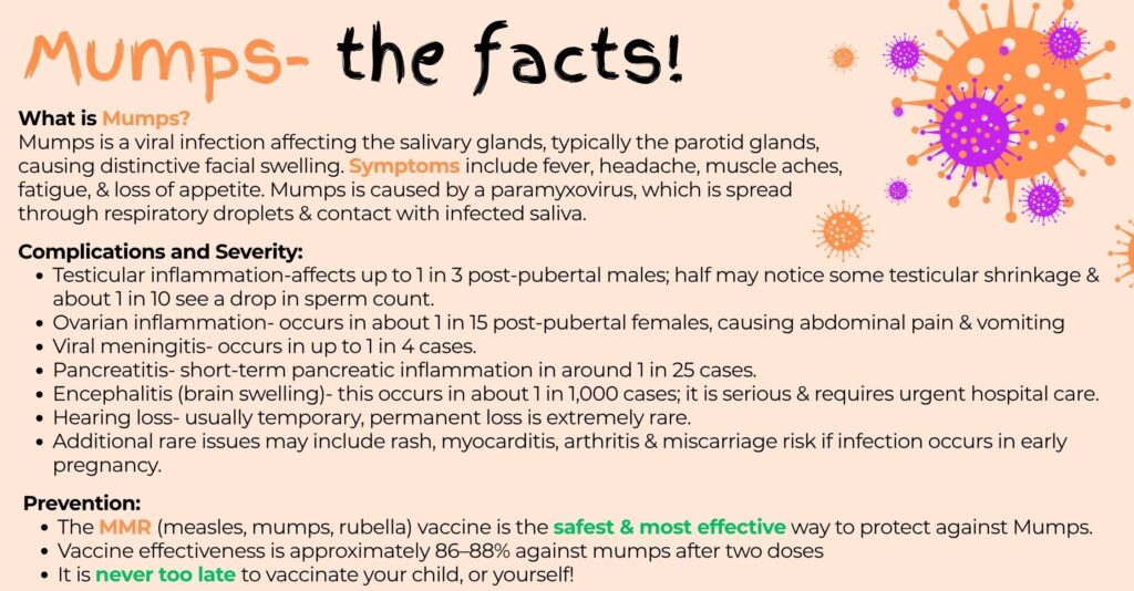Mumpsthefacts2e1769432025326