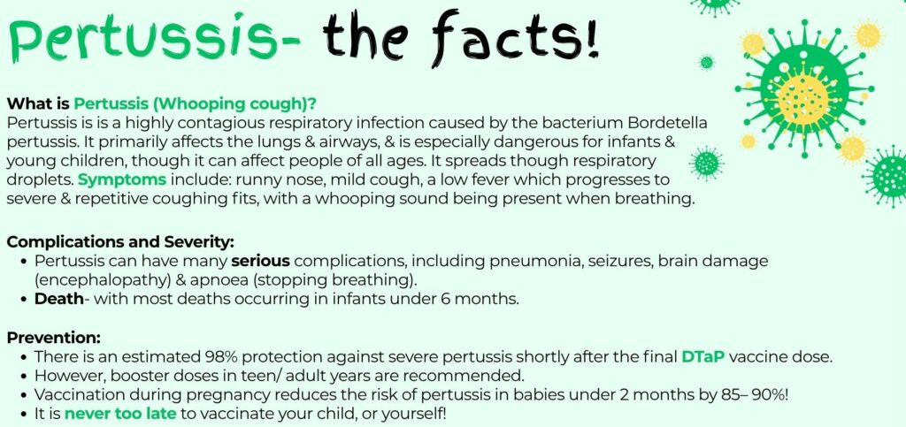 Pertussisthefacts21e1769432072900
